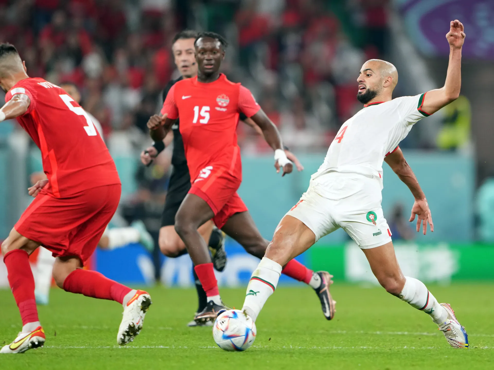 Описание изображения